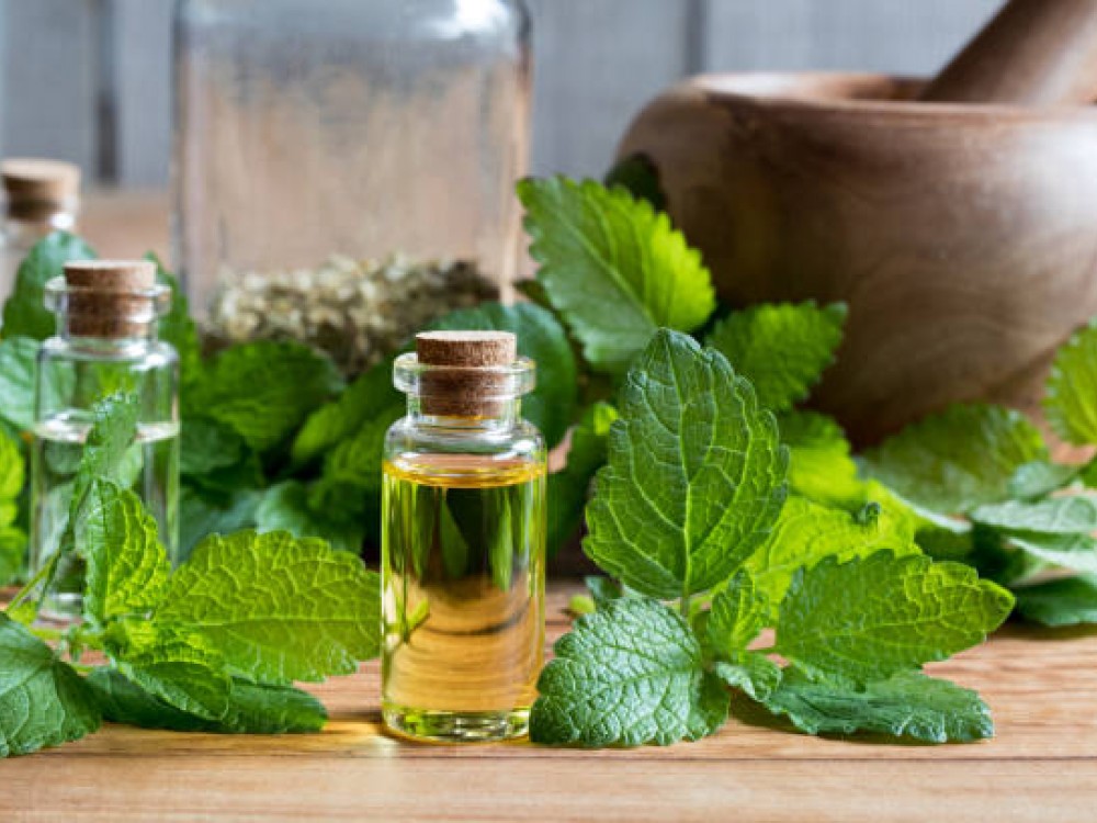 Melissa Essential Oil