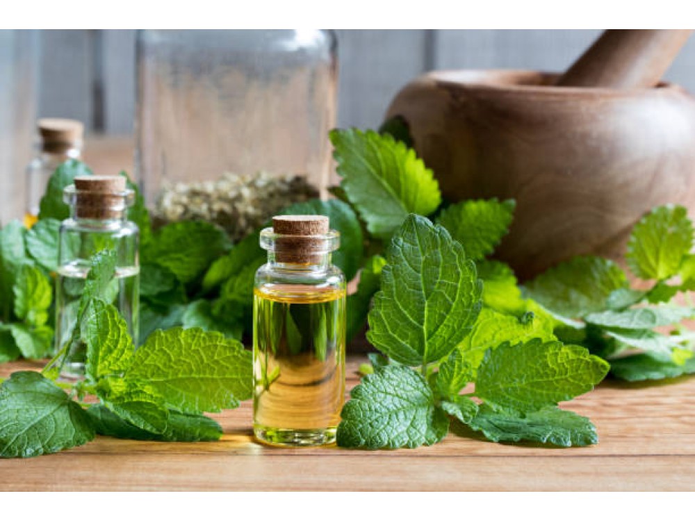 Melissa Essential Oil