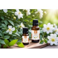 Jasmine Absolute Oil