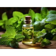 Peppermint Essential Oil
