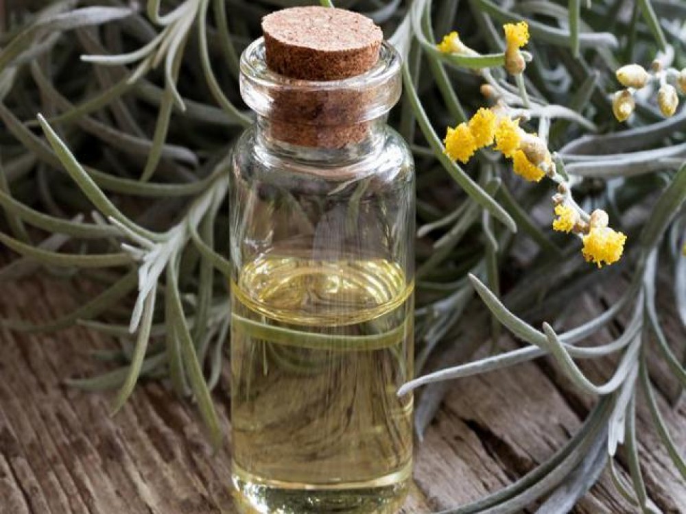 Helichrysum Essential Oil